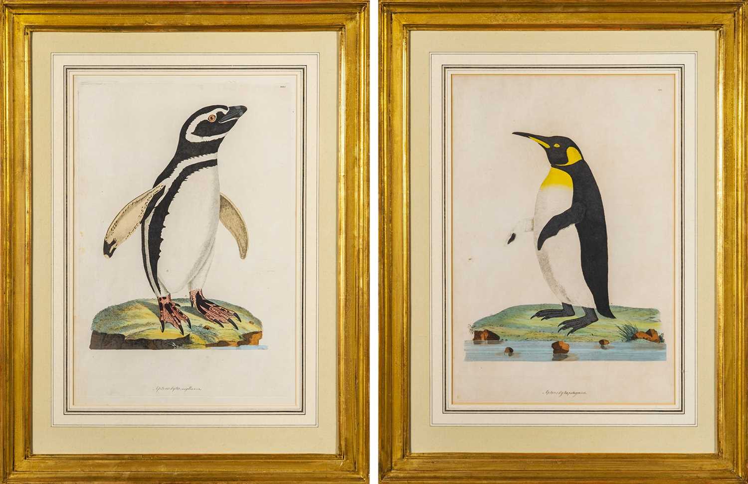 Lot 36 - John Frederick Miller (1759-1796)