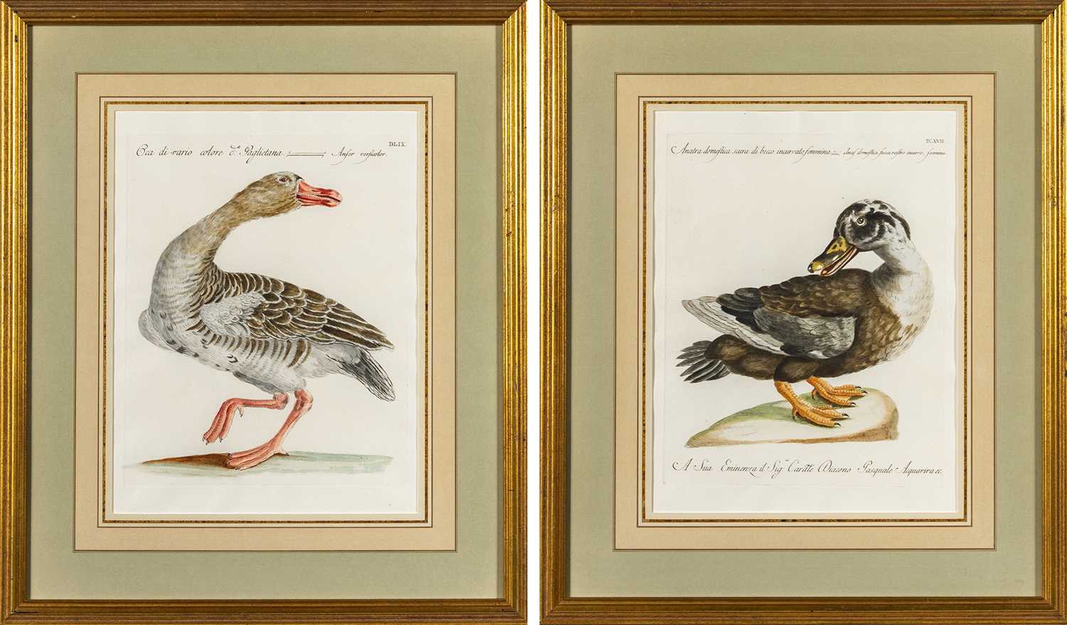 Lot 37 - Saverio Manetti (1723-1785)