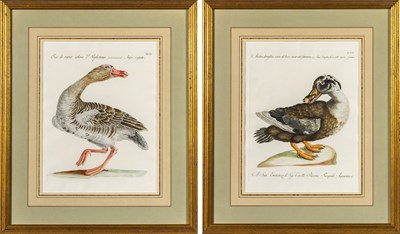 Lot 37 - Saverio Manetti (1723-1785)