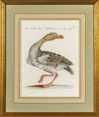 Lot 37 - Saverio Manetti (1723-1785)