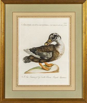 Lot 37 - Saverio Manetti (1723-1785)