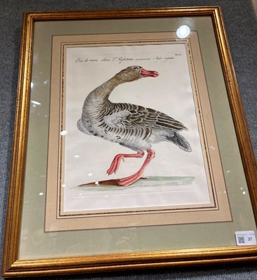 Lot 37 - Saverio Manetti (1723-1785)