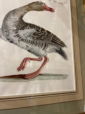 Lot 37 - Saverio Manetti (1723-1785)