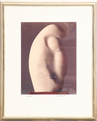 Lot 399 - AVEDON, A.