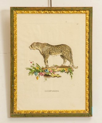 Lot 208 - After Giuseppe Vallardi