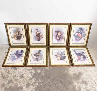 Lot 152 - Toucan : Eight