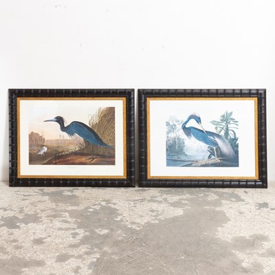 Lot 171 - Herons : Two