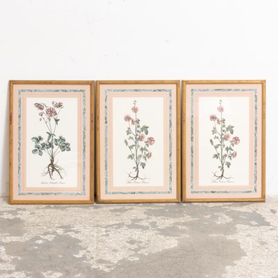 Lot 176 - Three Flower Studies