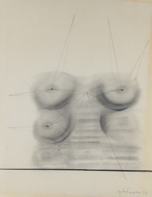 Lot 42 - Agustin Fernandez