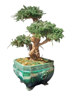 Lot 285 - Green Ceramic Planter with Faux Bonsai