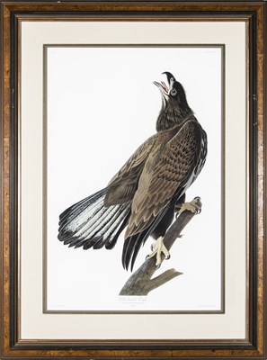 Lot 47 - After John James Audubon (1785-1851)