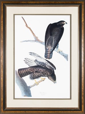 Lot 46 - After John James Audubon (1785-1851)