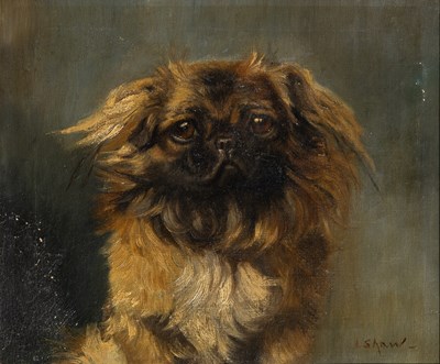 Lot 1041 - British School