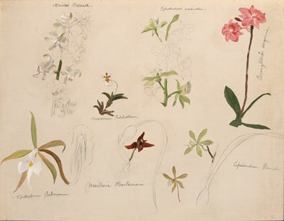 Lot 77 - William Jacob Hays, Sr.