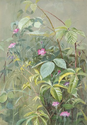 Lot 75 - Fidelia Bridges