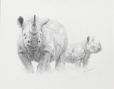 Lot 39 - John Banovich