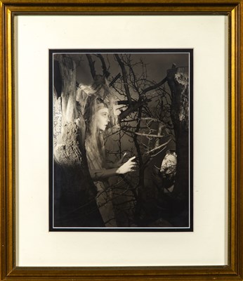 Lot 127 - A fabulous signed photograph of Lillian Gish as Egeria