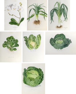 Lot 590 - Alastair Gordon