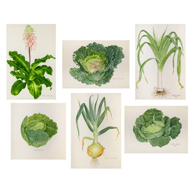 Lot 36 - Alastair Gordon