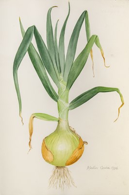 Lot 36 - Alastair Gordon