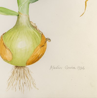 Lot 36 - Alastair Gordon