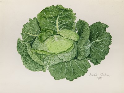 Lot 36 - Alastair Gordon