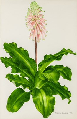 Lot 36 - Alastair Gordon