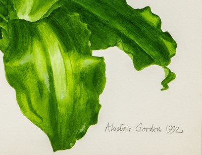 Lot 36 - Alastair Gordon