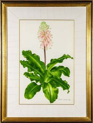 Lot 36 - Alastair Gordon
