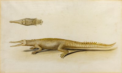 Lot 84 - Indian School Painting