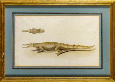 Lot 84 - Indian School Painting