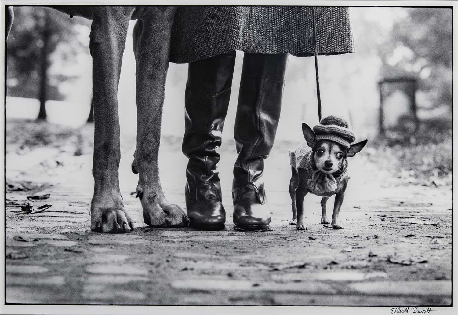 Lot 38 - Elliott Erwitt, New York City (Dog Legs), 1974.