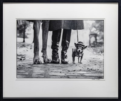 Lot 38 - Elliott Erwitt, New York City (Dog Legs), 1974.