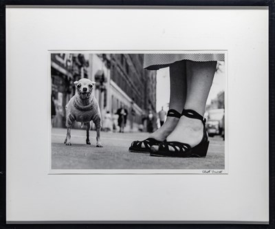 Lot 39 - Elliott Erwitt, New York City (Dog and Feet), 1946.