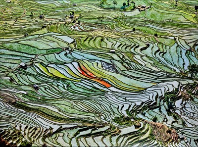 Lot 22 - Edward Burtynsky, Rice Terraces #2, Western Yunnan Province, China, 2012