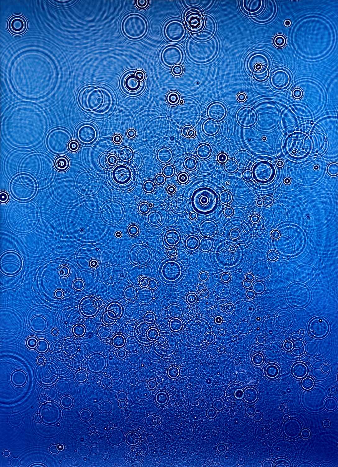 Lot 33 - Adam Fuss, Untitled 2014