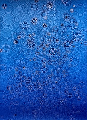 Lot 33 - Adam Fuss, Untitled 2014