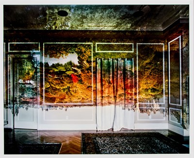 Lot 50 - Abelardo Morell, View of Central Park Looking North, Fall 2008
