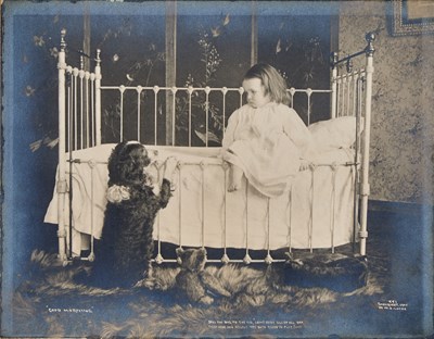 Lot 43 - W. O. Locke, Child, dog and Teddy bear, 1907