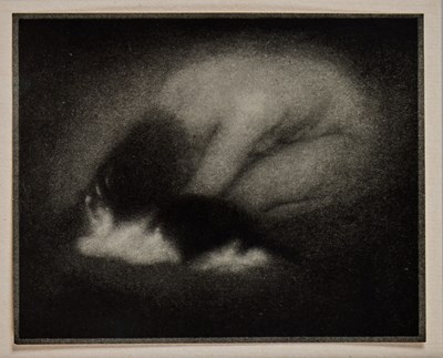 Lot 71 - Edward Steichen, Nude with Cat, 1903