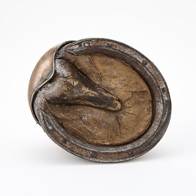 Lot 73 - Tiffany & Co. Sterling Silver Mounted Commemorative "Shillelah" Horse-Hoof Inkstand