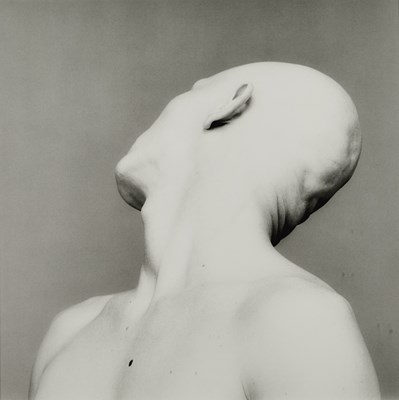 Lot 47 - Robert Mapplethorpe, Robert Sherman, 1983