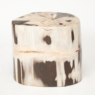 Lot 313 - Petrified Wood Stool