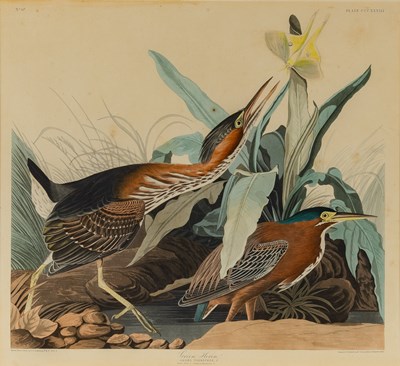 Lot 5 - After John James Audubon (1785-1851)
