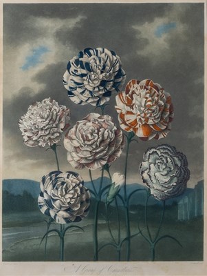 Lot 2 - Dr. Robert Thornton (1768-1837), publisher