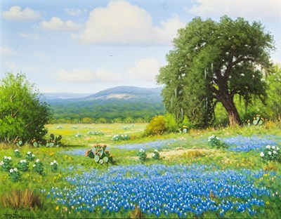 Lot 2 - Don Warren