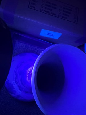 Lot 98 - A Pair of Chinese Blue and White Porcelain Vases