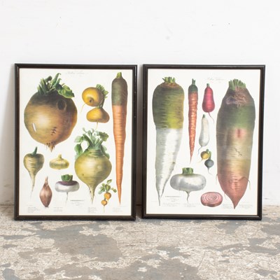 Lot 349 - After Elisa Champin : Two