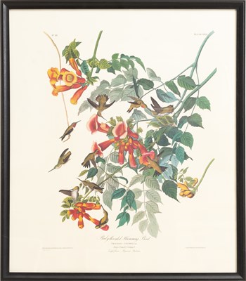 Lot 87 - After John James Audubon