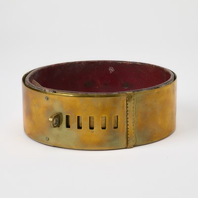 Lot 381 - Brass and Leather Dog Collar